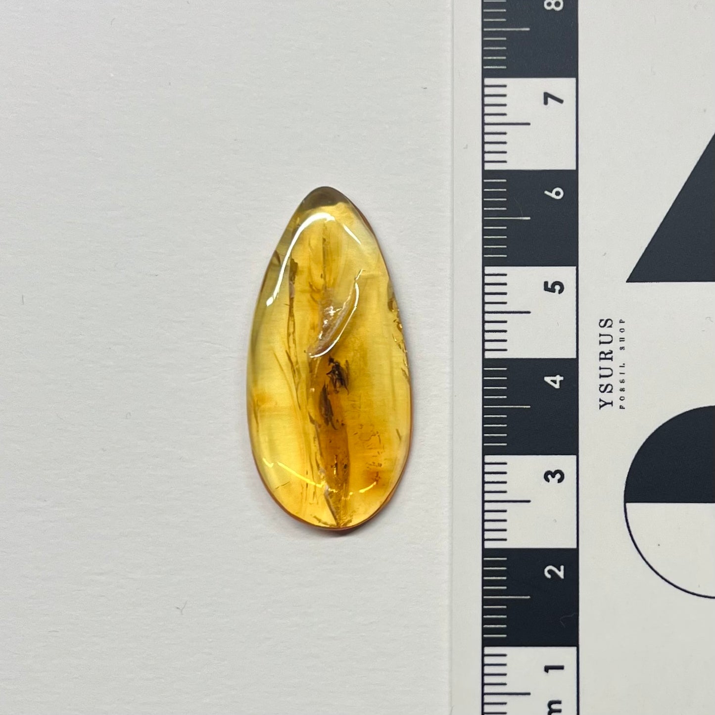 F2856 | Ambra con inclusione | Empididae indet.