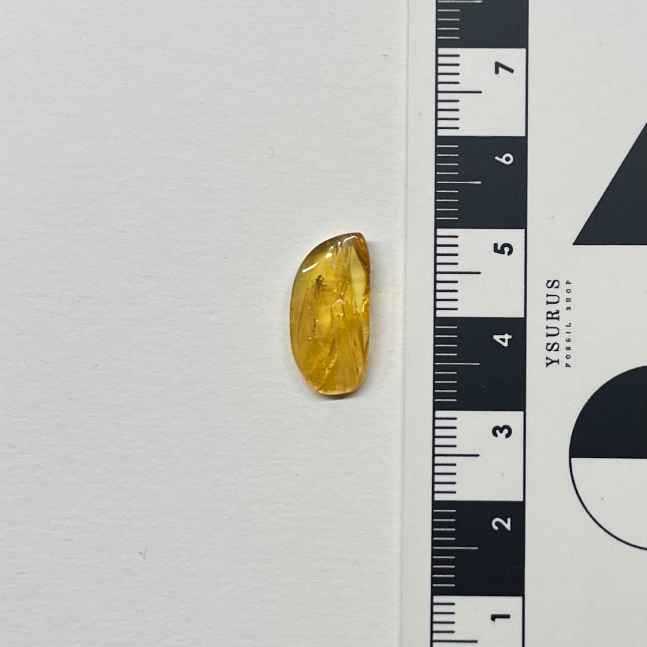 F2853 | Ambra con inclusione | Empididae indet.