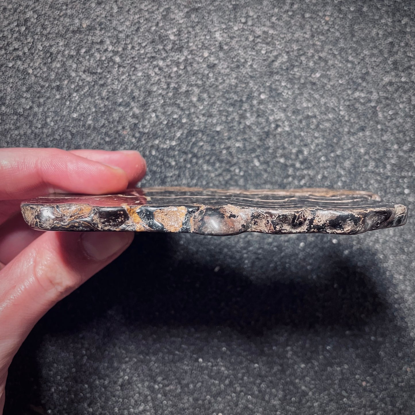 F1714 | Stromatolite | Stromatolite indet.