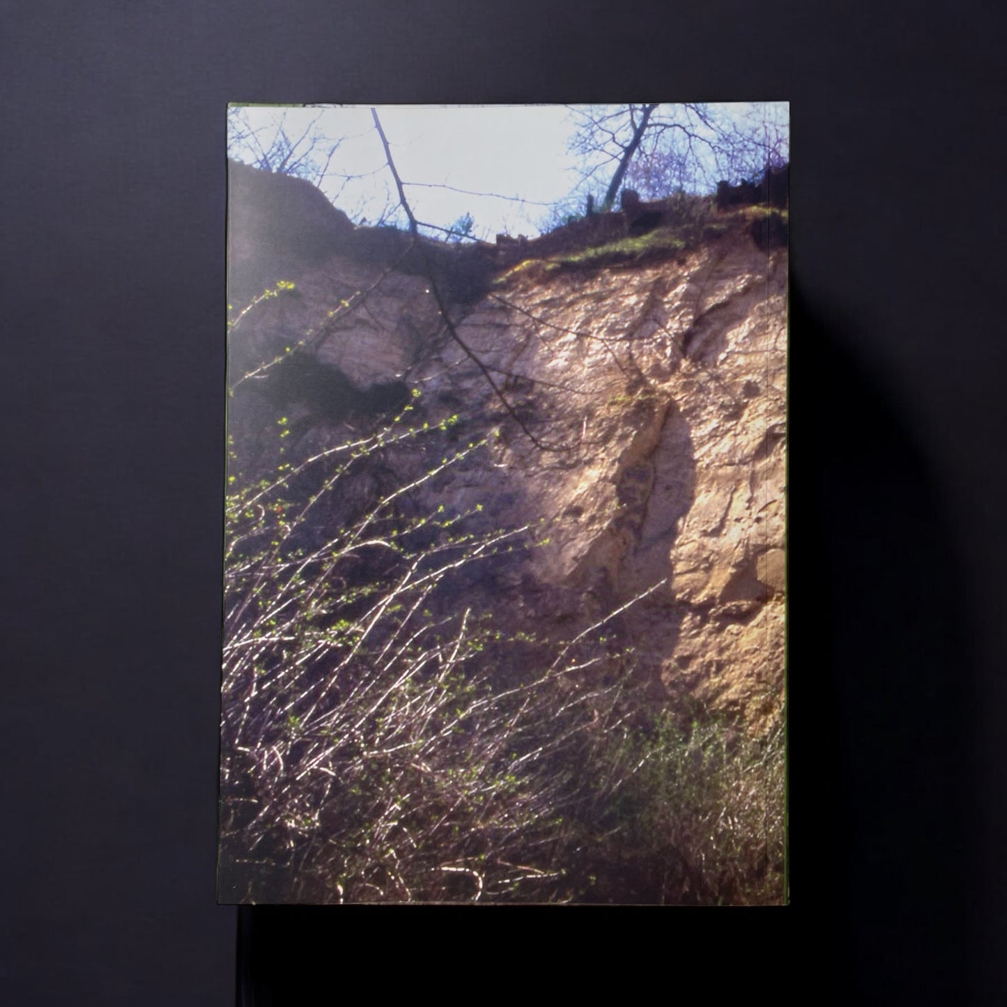 LP9 | Libro | Censimento dei Geositi del Settore Regionale Collina di Torino e Monferrato