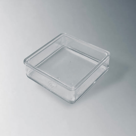 ST1 | Scatola trasparente per fossili 46x46mm