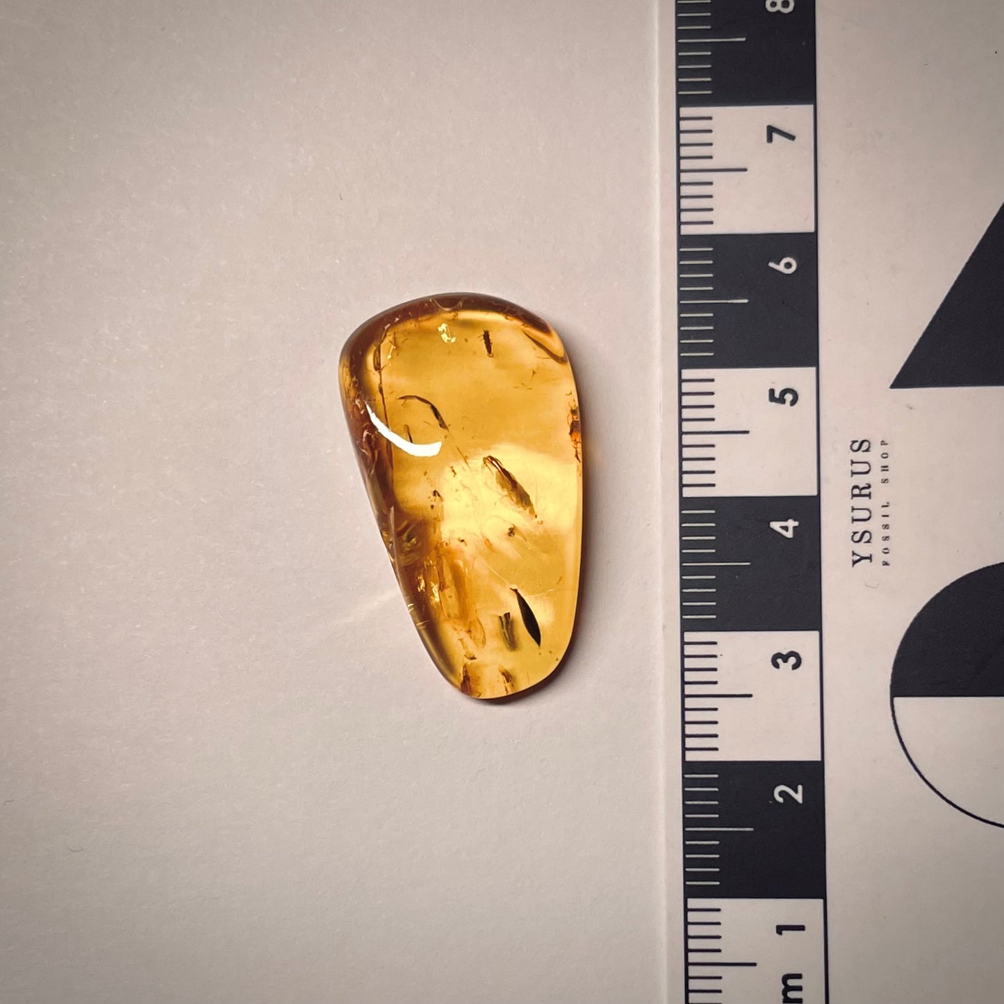 F1743 | Ambra con inclusione | Aphididae indet.