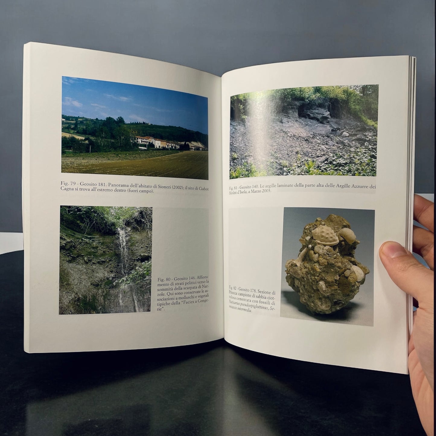 LP9 | Libro | Censimento dei Geositi del Settore Regionale Collina di Torino e Monferrato