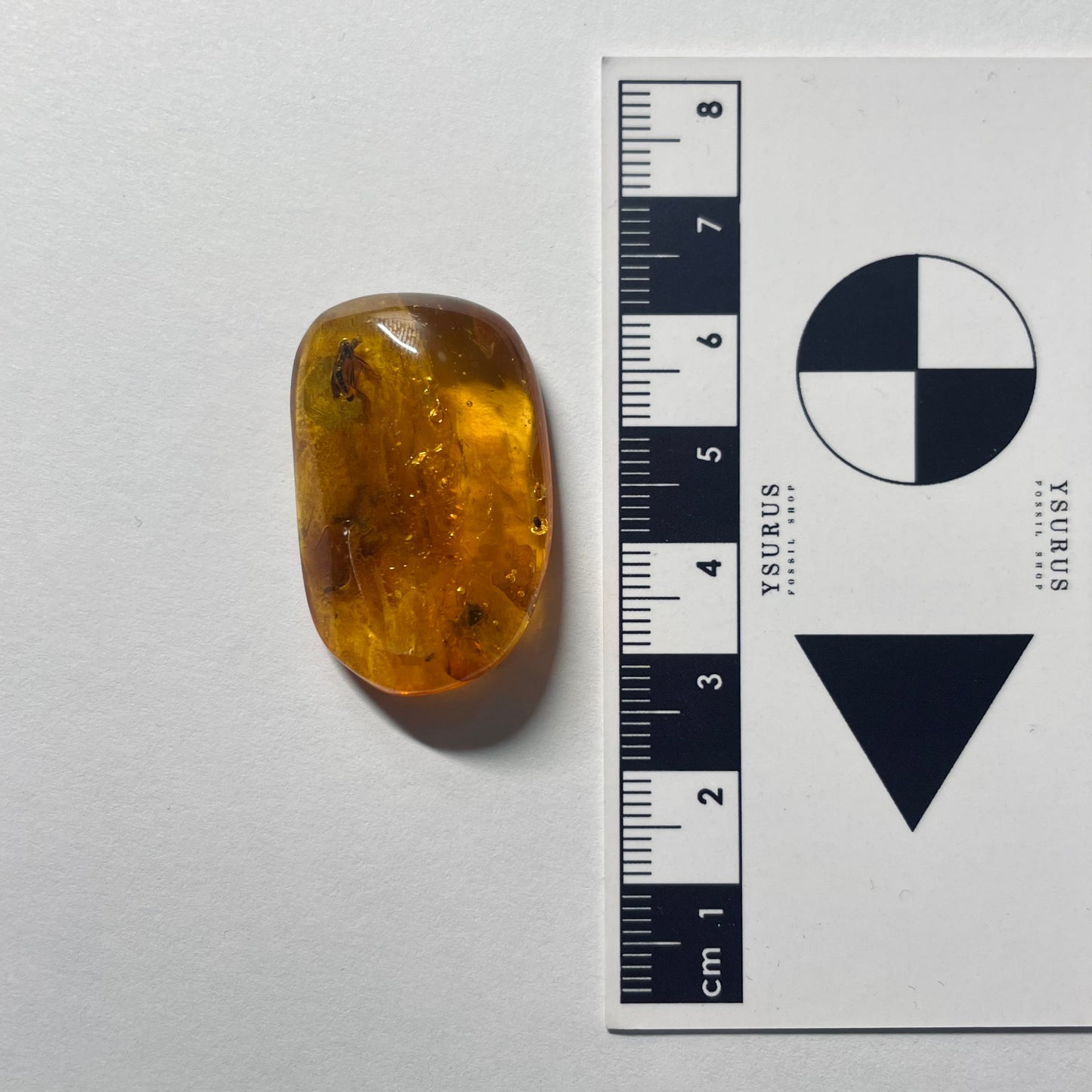 F2086 | Ambra con inclusione | Empididae indet.