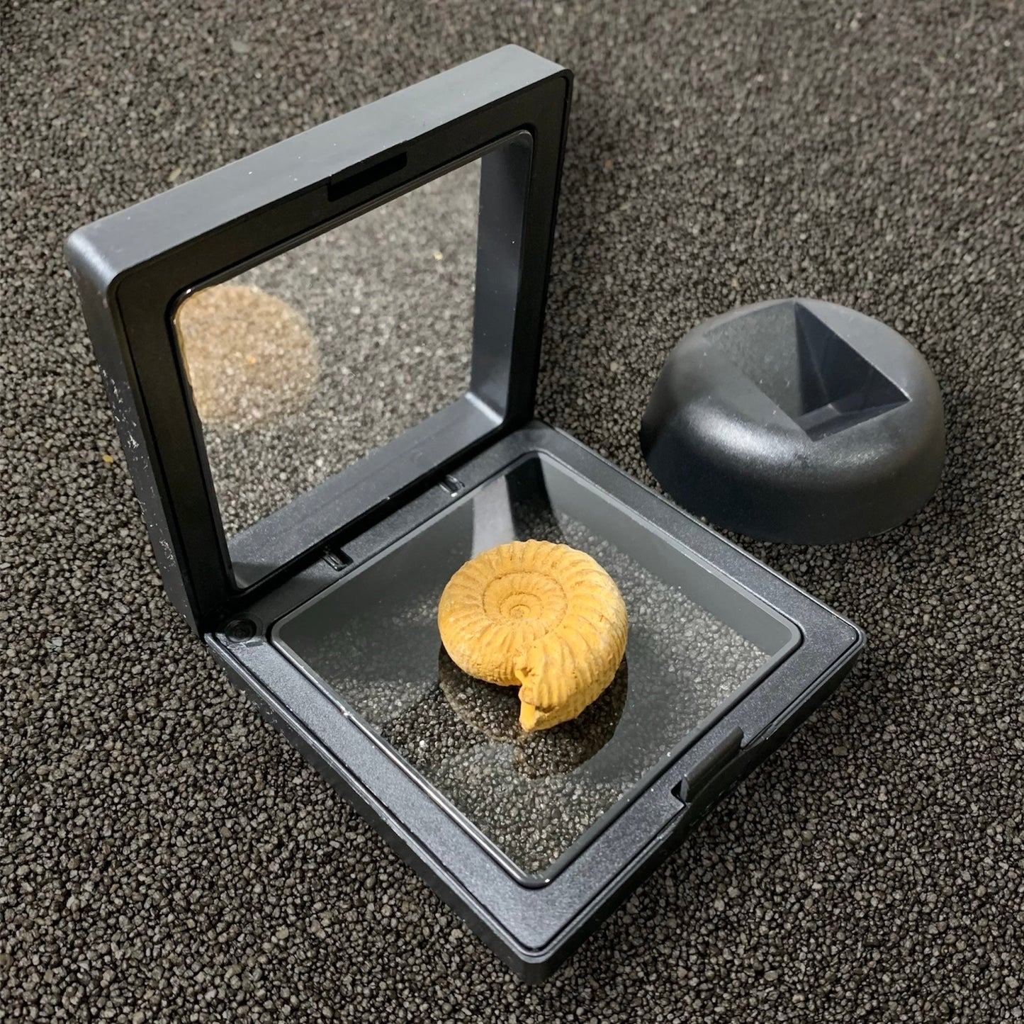 SFN7 | Espositore per fossili nero 68x68mm