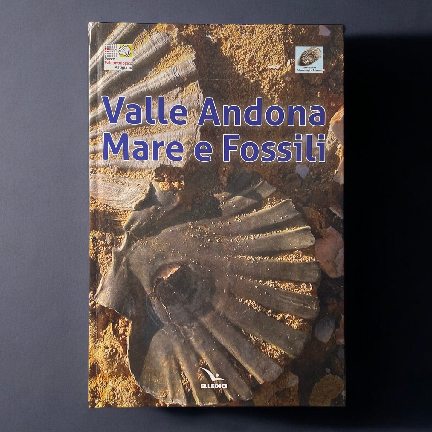 LP10 | Libro | Valle Andona: Mare e Fossili