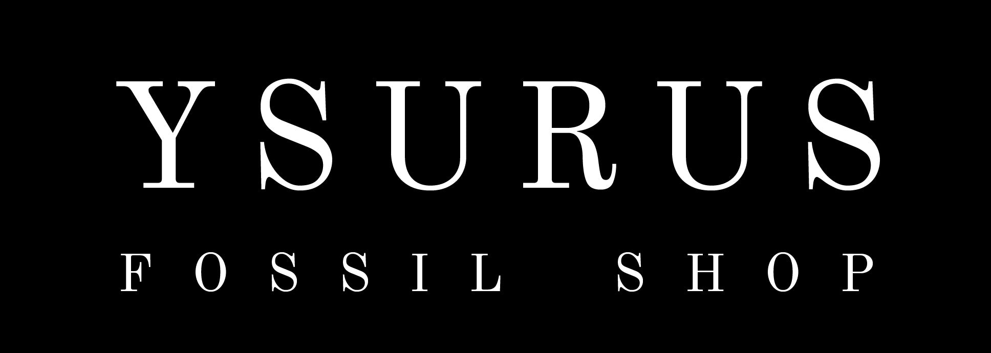 Ysurus Fossil Shop
