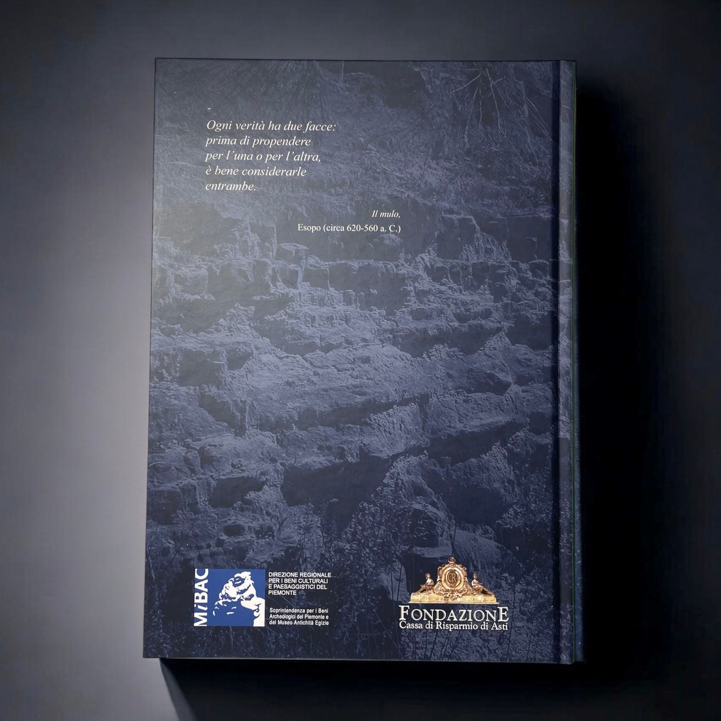 LP8 | Libro | La formazione di un territorio - Storia geo-paleontologica dell’Astigiano