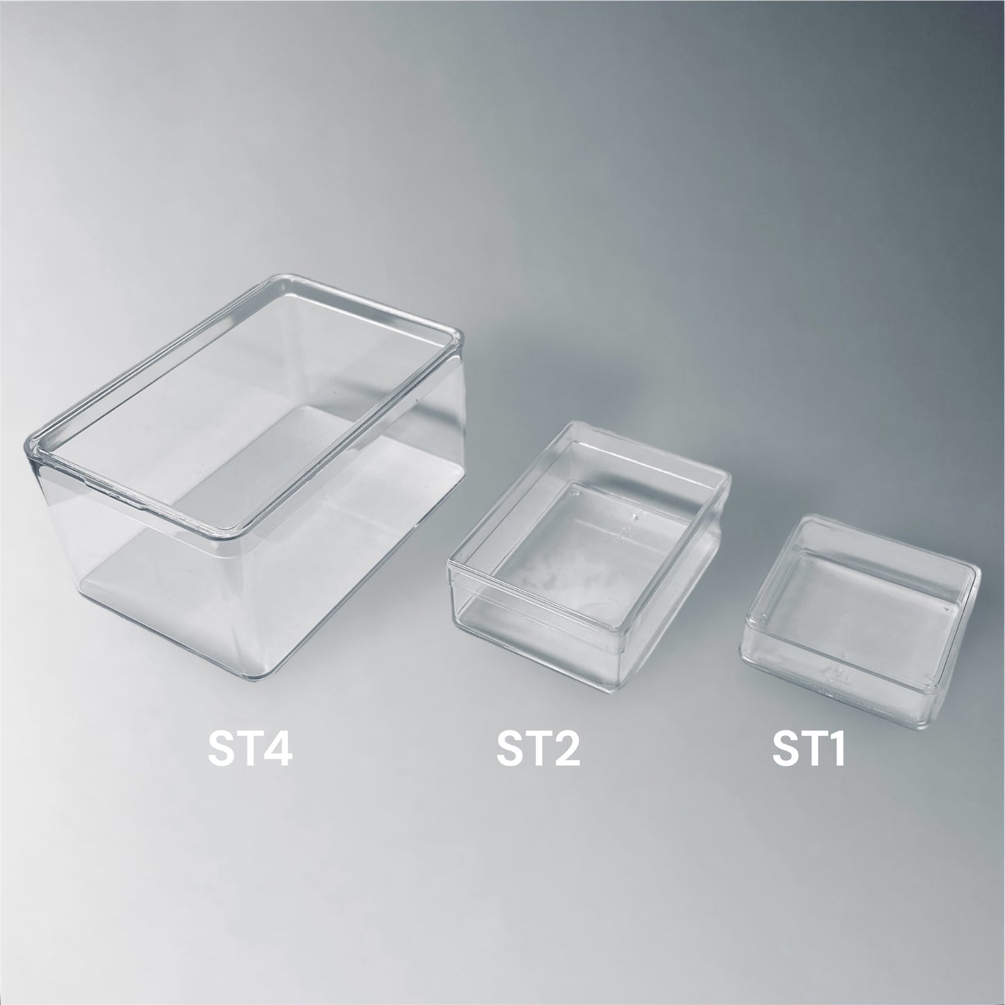 ST1 | Scatola trasparente per fossili 46x46mm