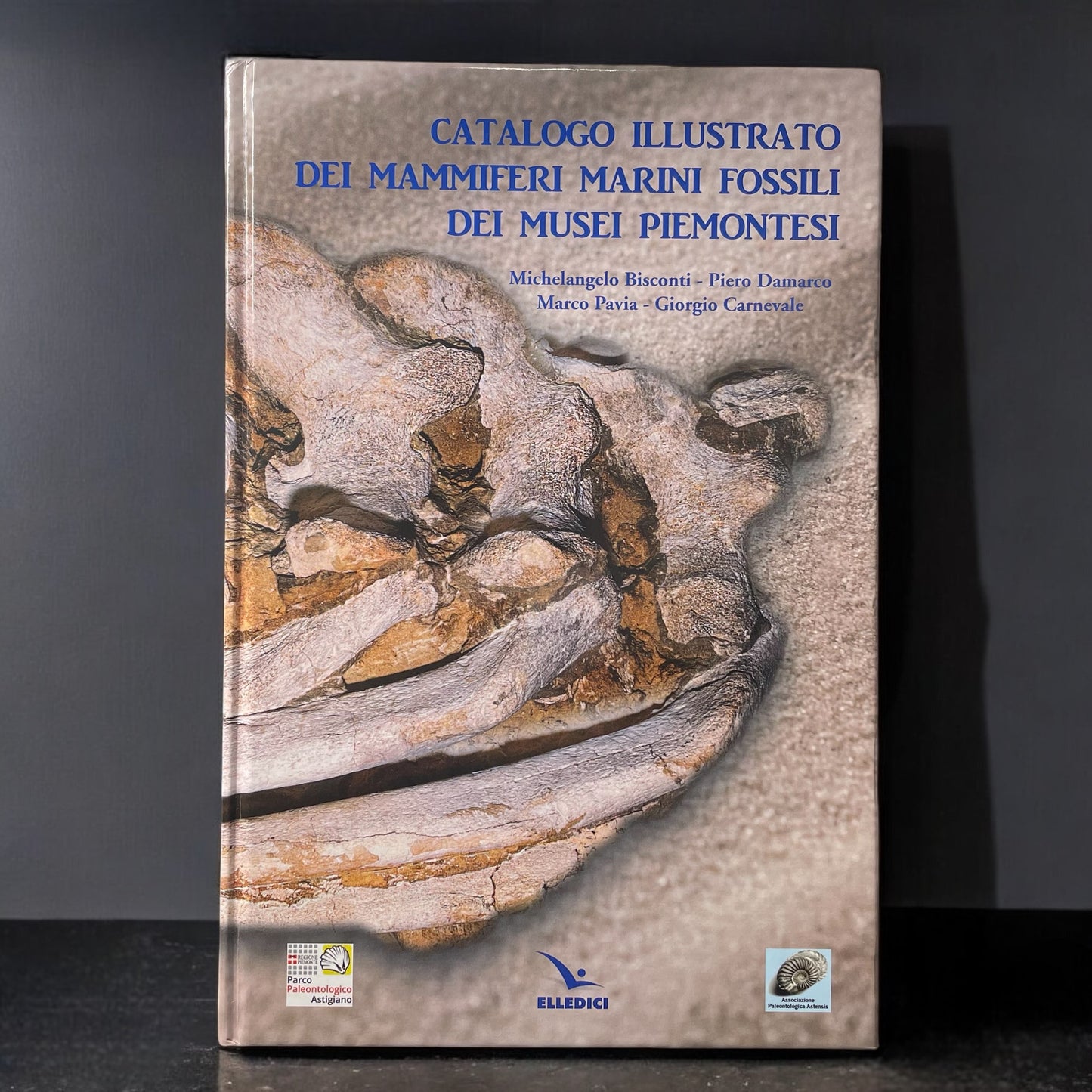 LP11 | Libro | Catalogo illustrato dei mammiferi marini fossili dei musei piemontesi