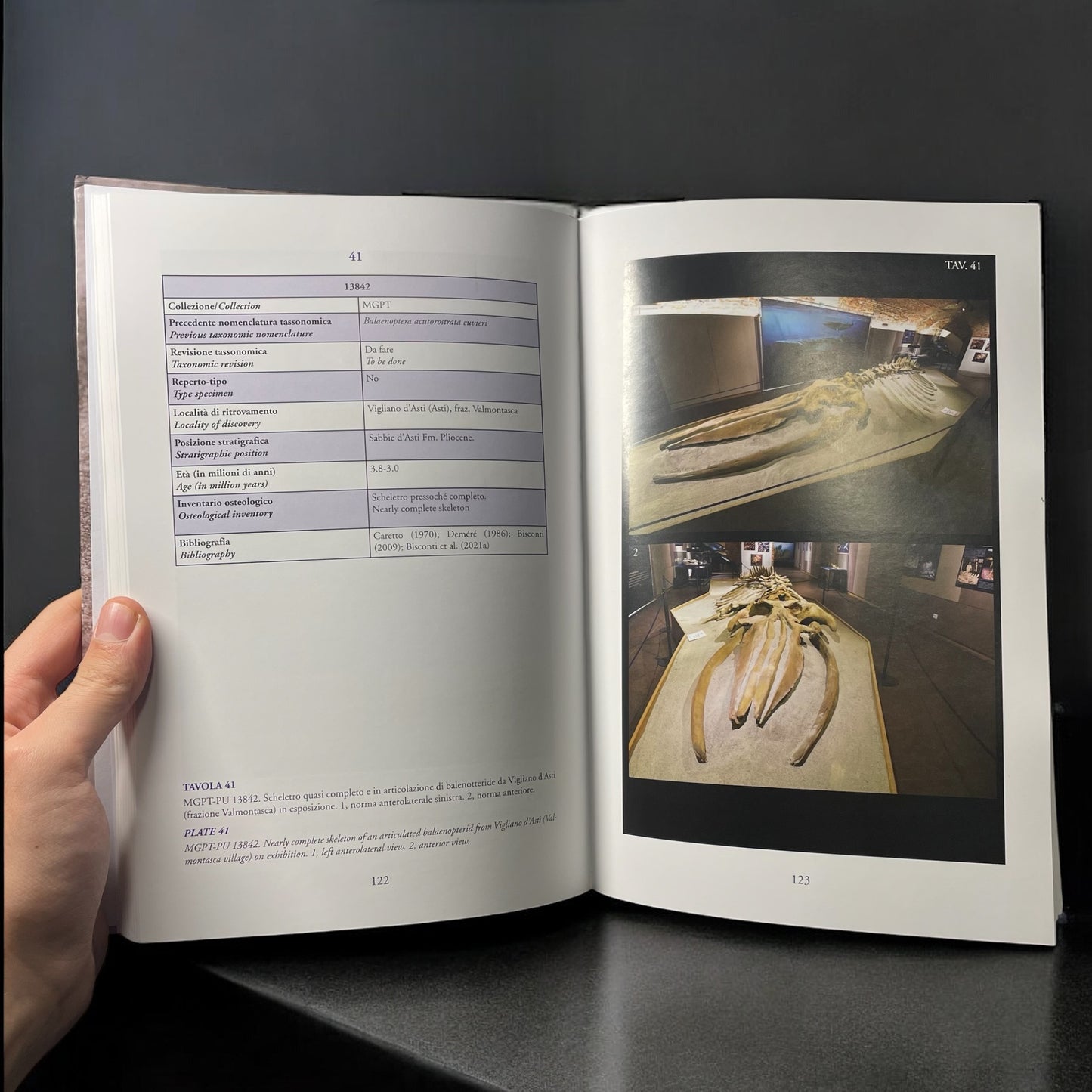 LP11 | Libro | Catalogo illustrato dei mammiferi marini fossili dei musei piemontesi