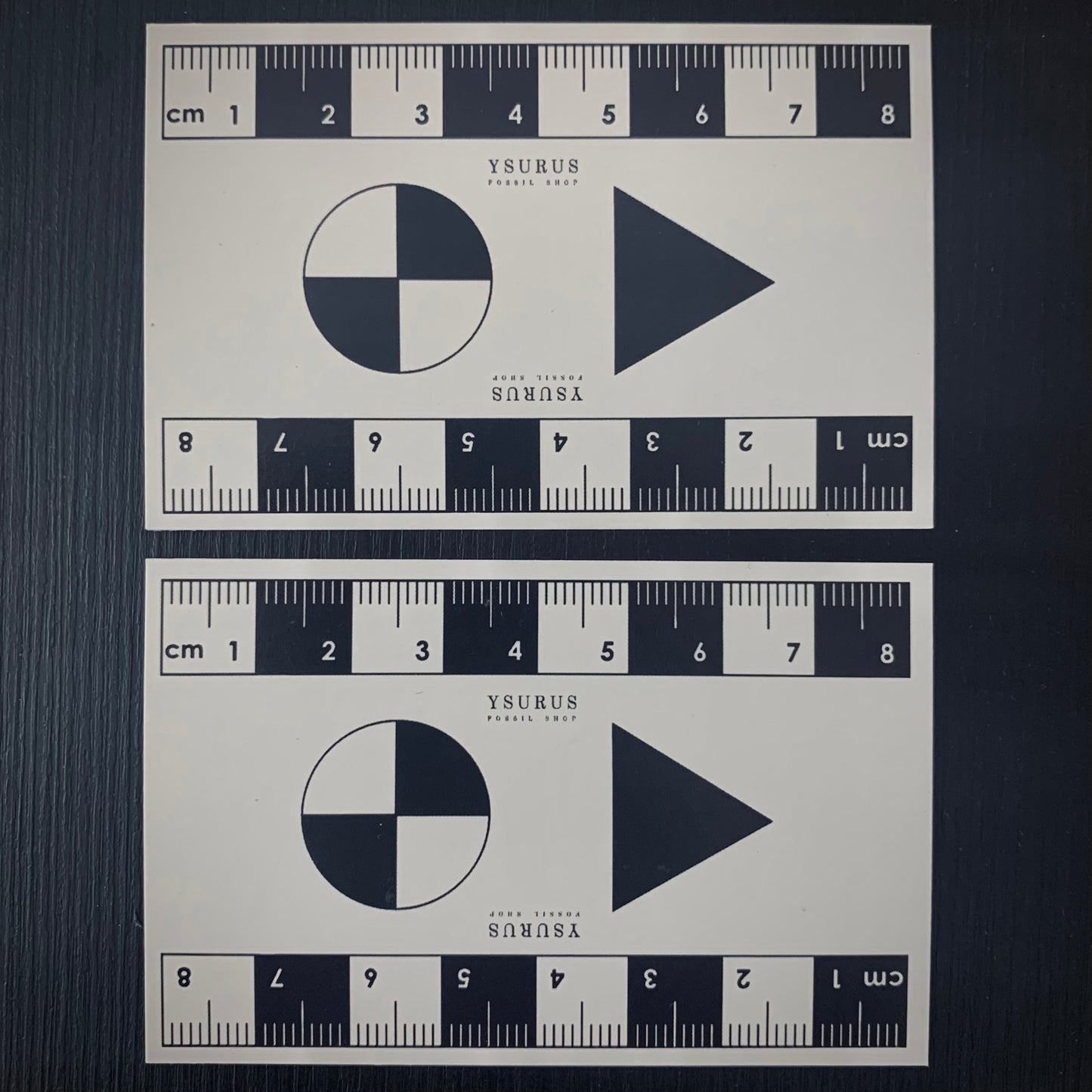 TPH | 2 pz. | Scala di riferimento metrico per fotografie