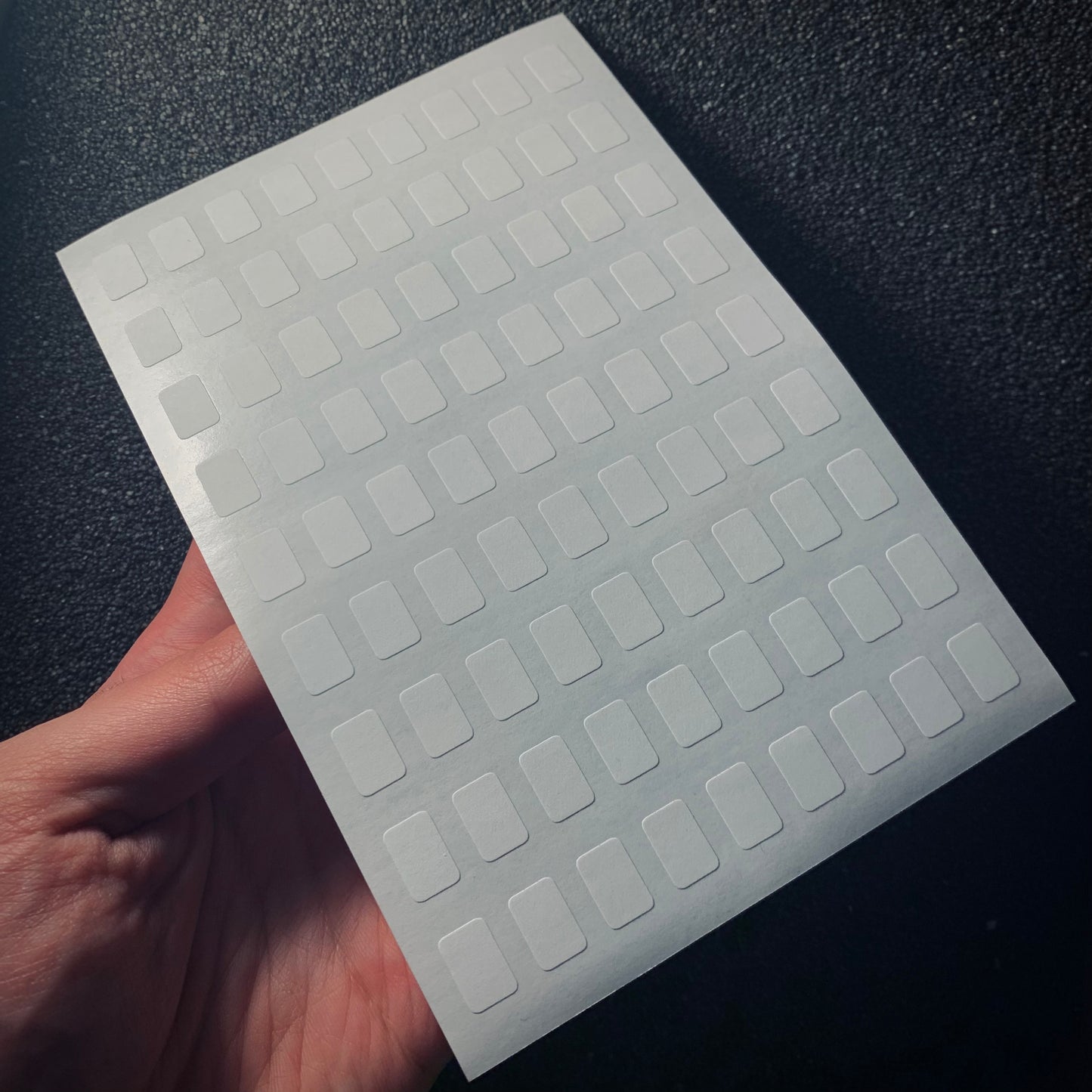 TER8 | 810 pz. | Etichette per fossili 12x8 mm
