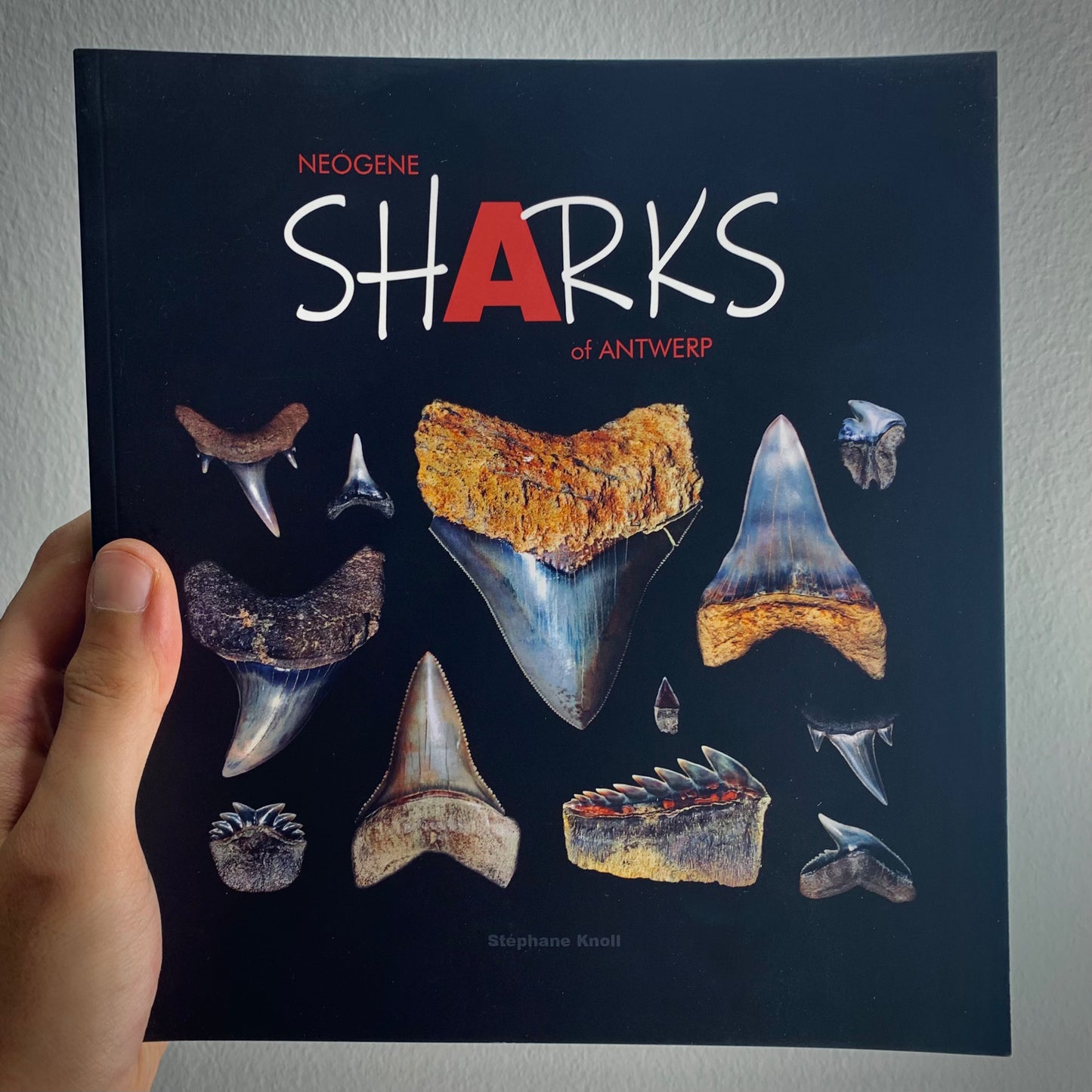 LP4 | Libro | Neogene Sharks of Antwerp