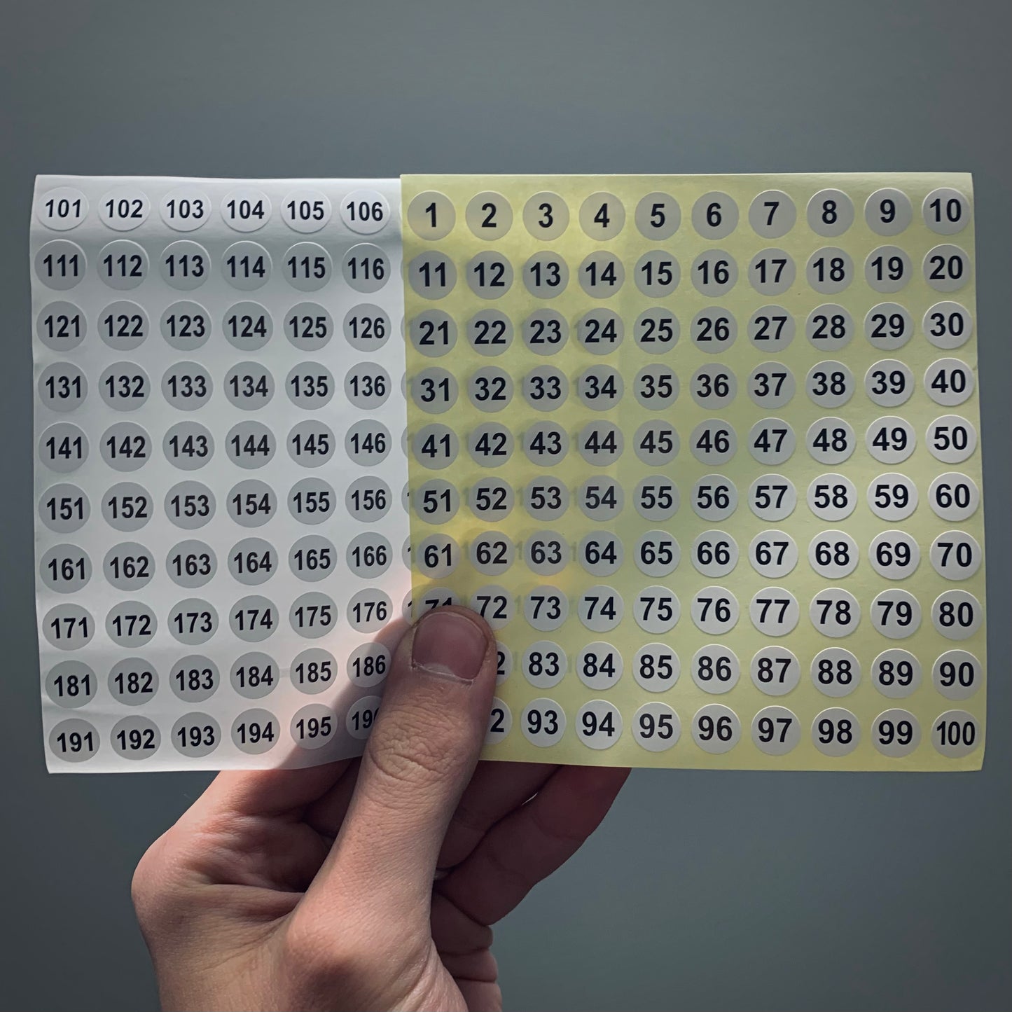 TE12 | 200 pz. | Etichette numerate per fossili 10 mm