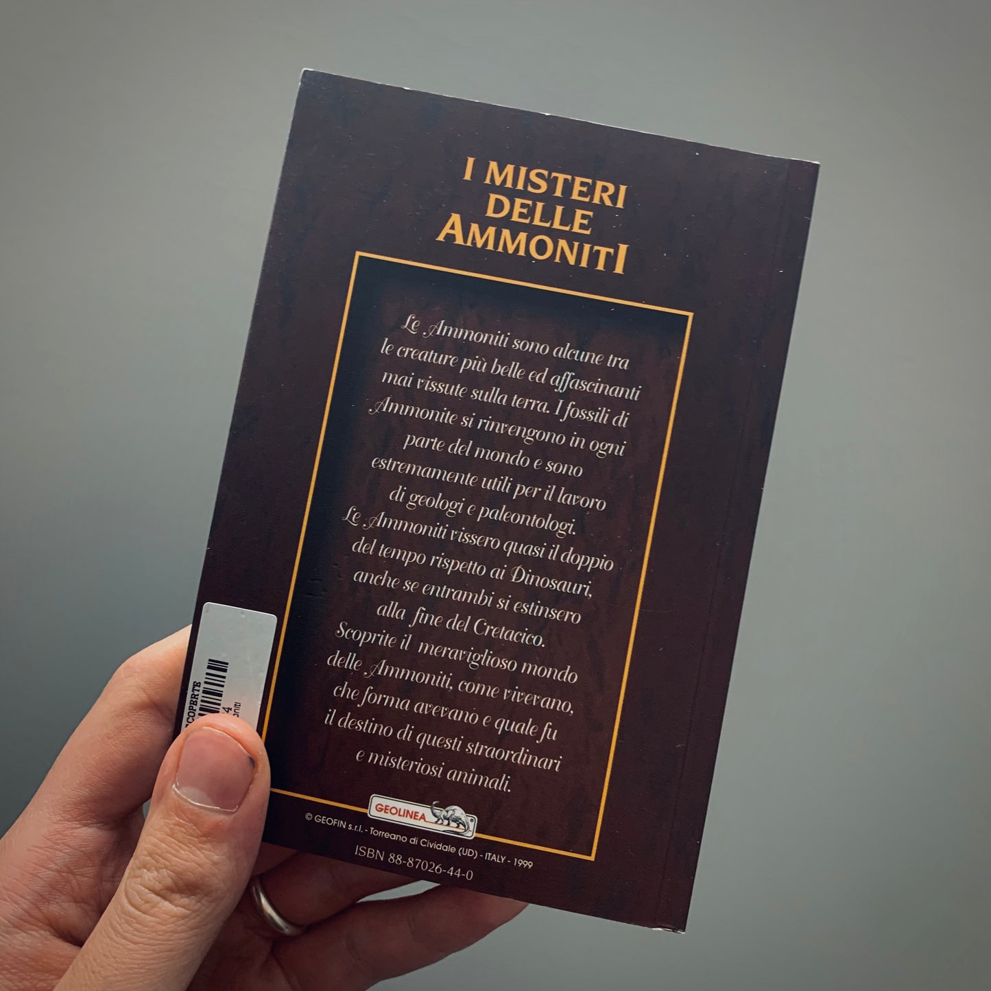 LP3 | Libro | I Misteri delle Ammoniti