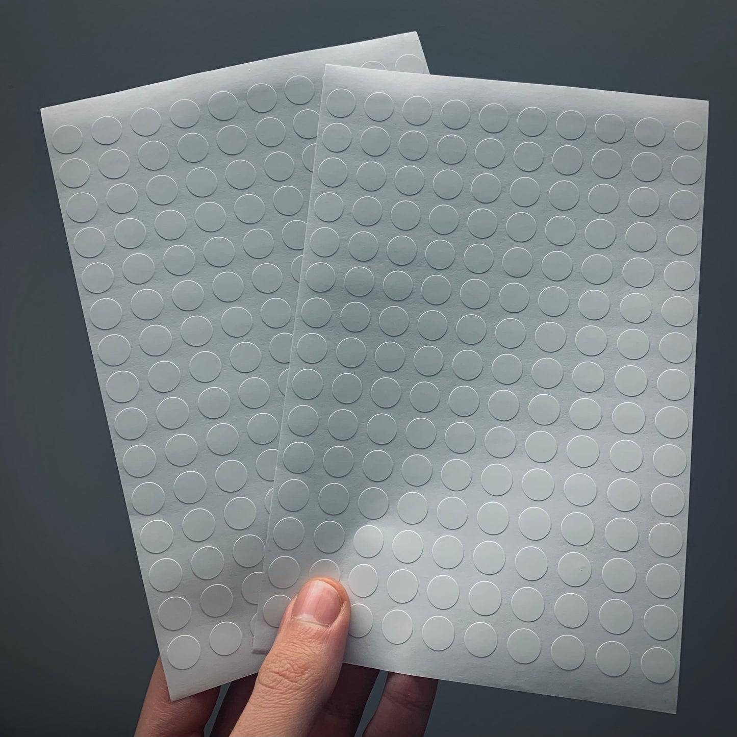 TE10 | 528 pz. | Etichette per fossili 10 mm