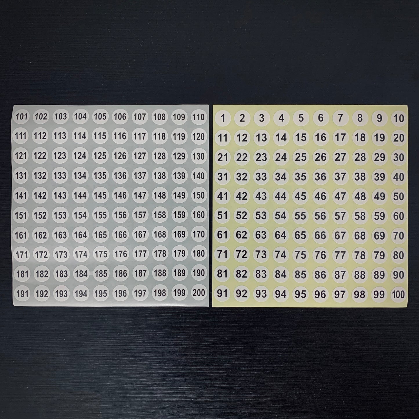 TE12 | 200 pz. | Etichette numerate per fossili 10 mm