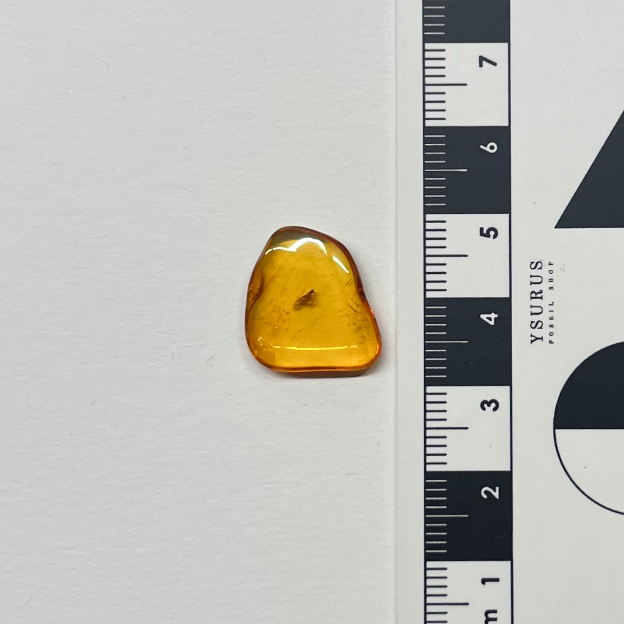 F2845 | Ambra con inclusione | Empididae indet.