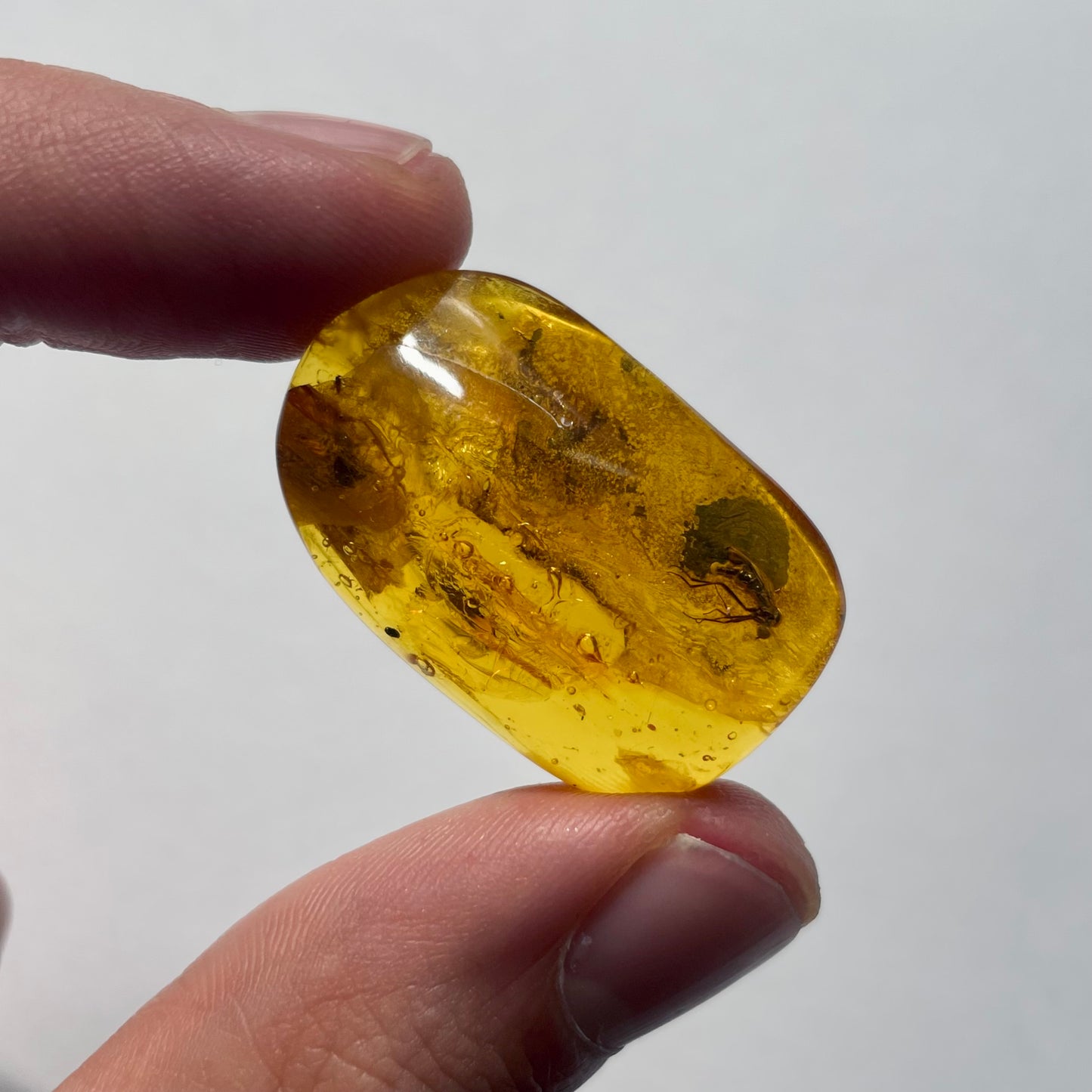 F2086 | Ambra con inclusione | Empididae indet.