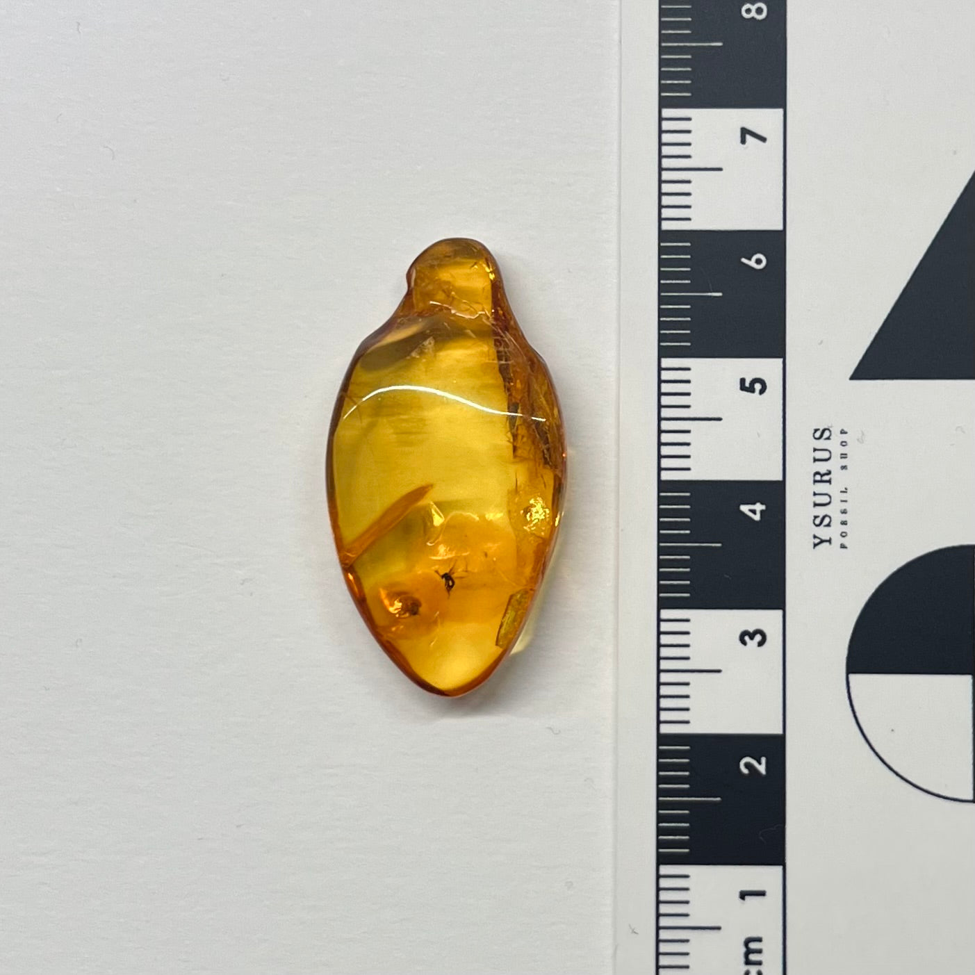 F2840 | Ambra con inclusione | Ceratopogonidae indet.