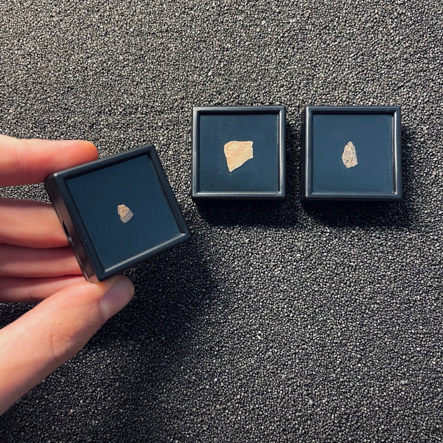 MFC | Fragments Collection | 3 fossili di dinosauro | ESCLUSIVA BLACK FRIDAY 2025