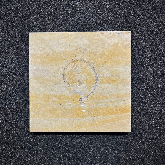 F2914 | Ammonite | Ammonoidea