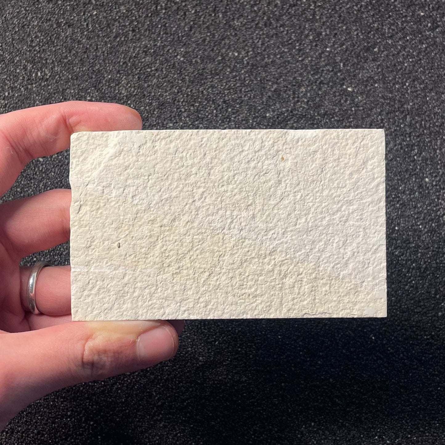 F2222 | Pesce | Knightia eocaena