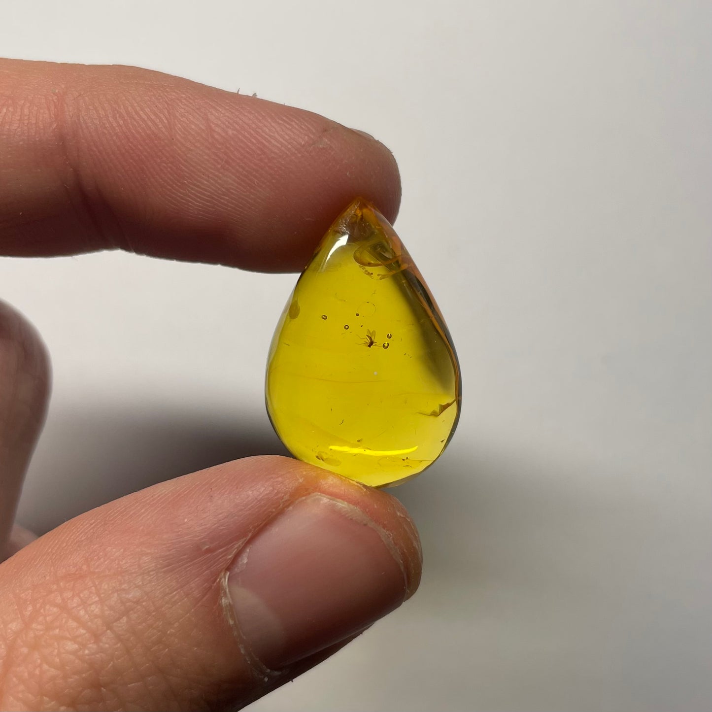 F2426 | Ambra con inclusione | Chironomidae indet.