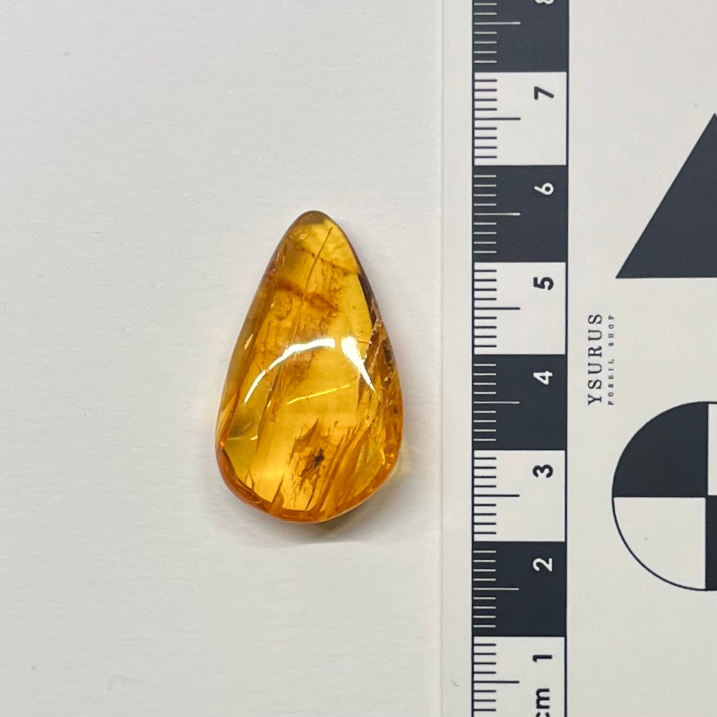F2827 | Ambra con inclusione | Empididae indet.