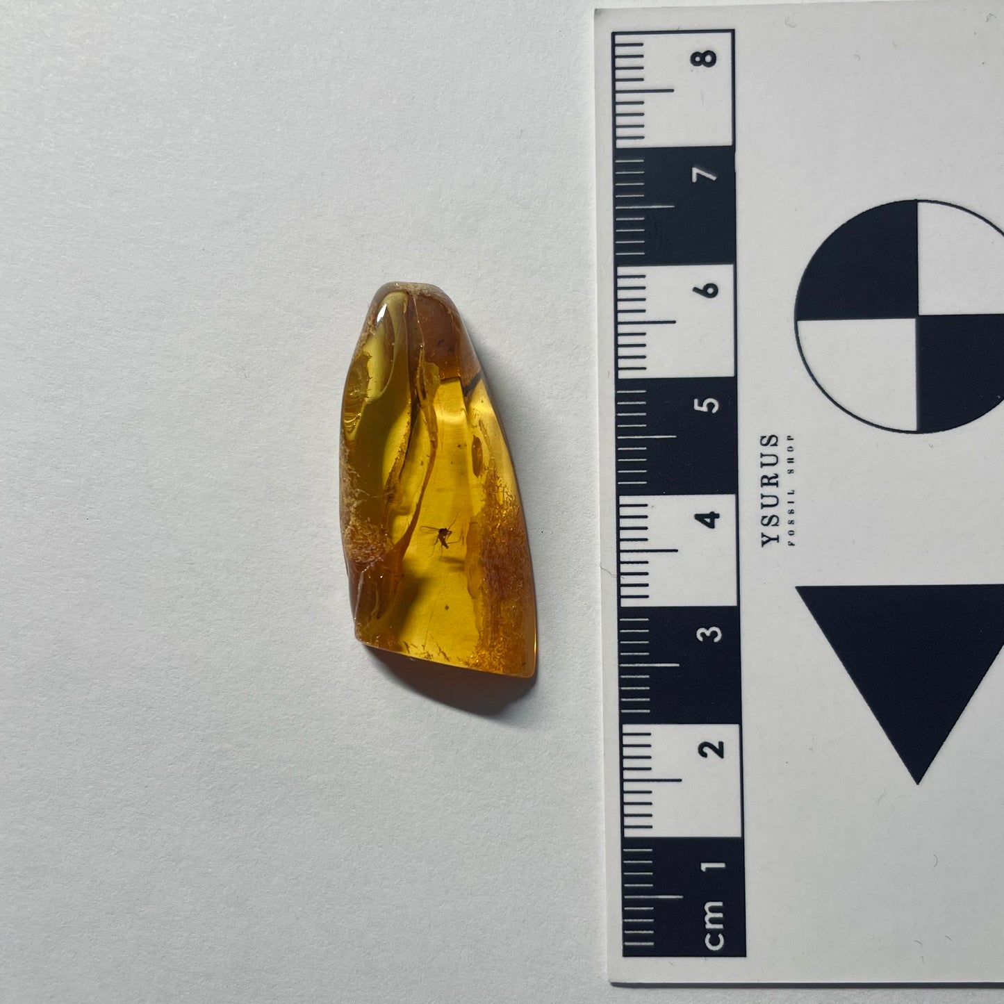 F2089 | Ambra con inclusione | Chironomidae indet.