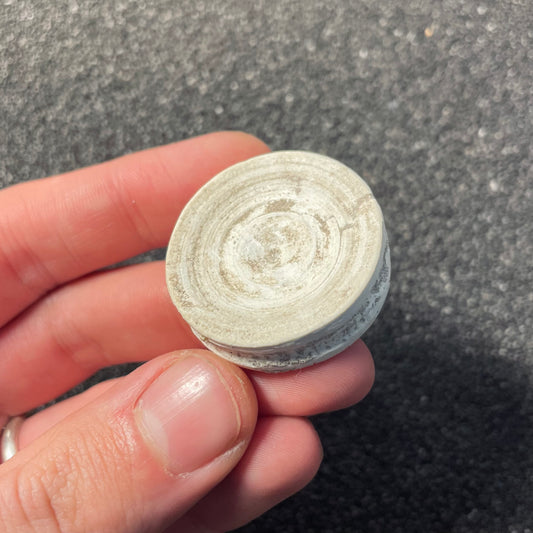 F2208 | Squalo | Selachimorpha indet.