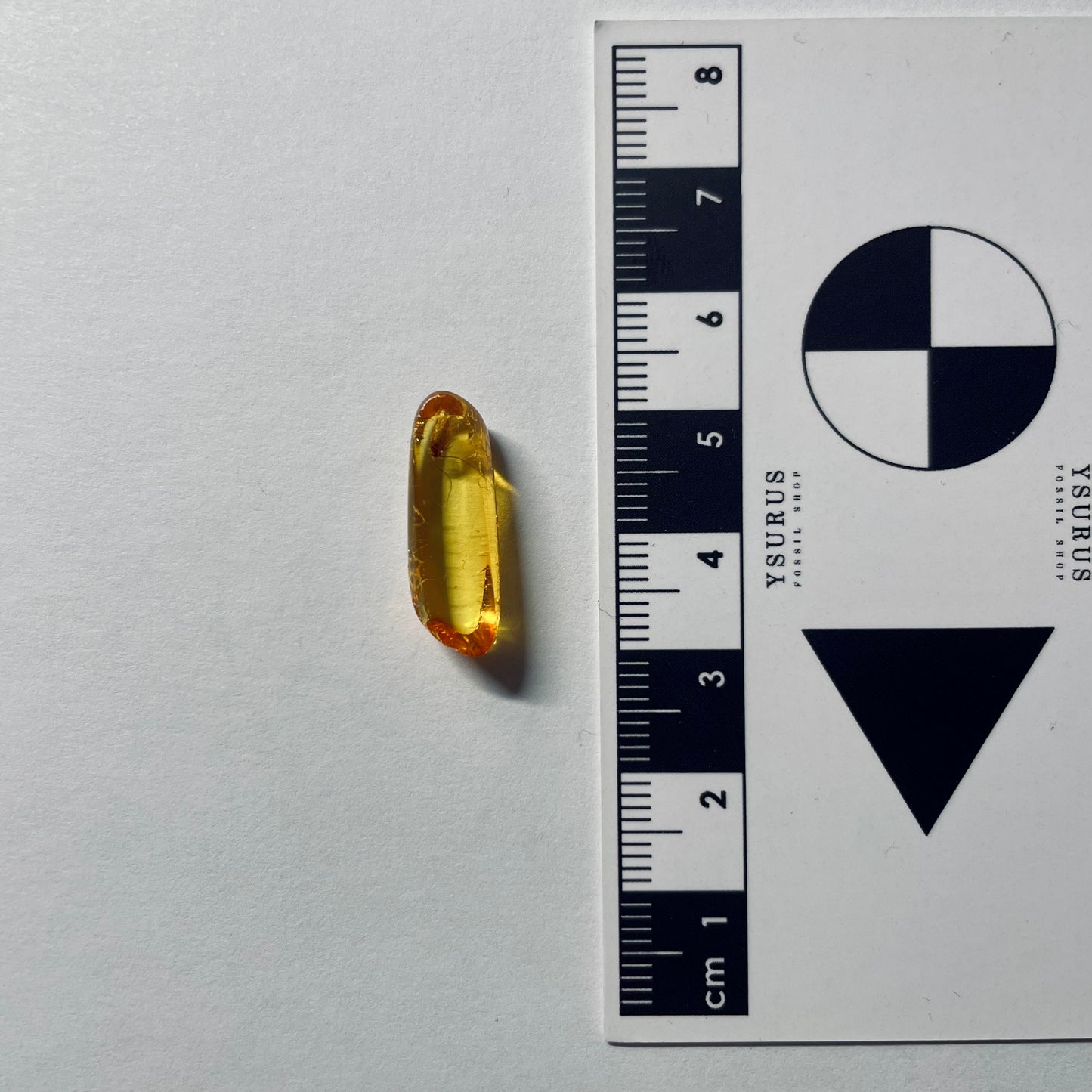 F2088 | Ambra con inclusione | Psocoptera indet.