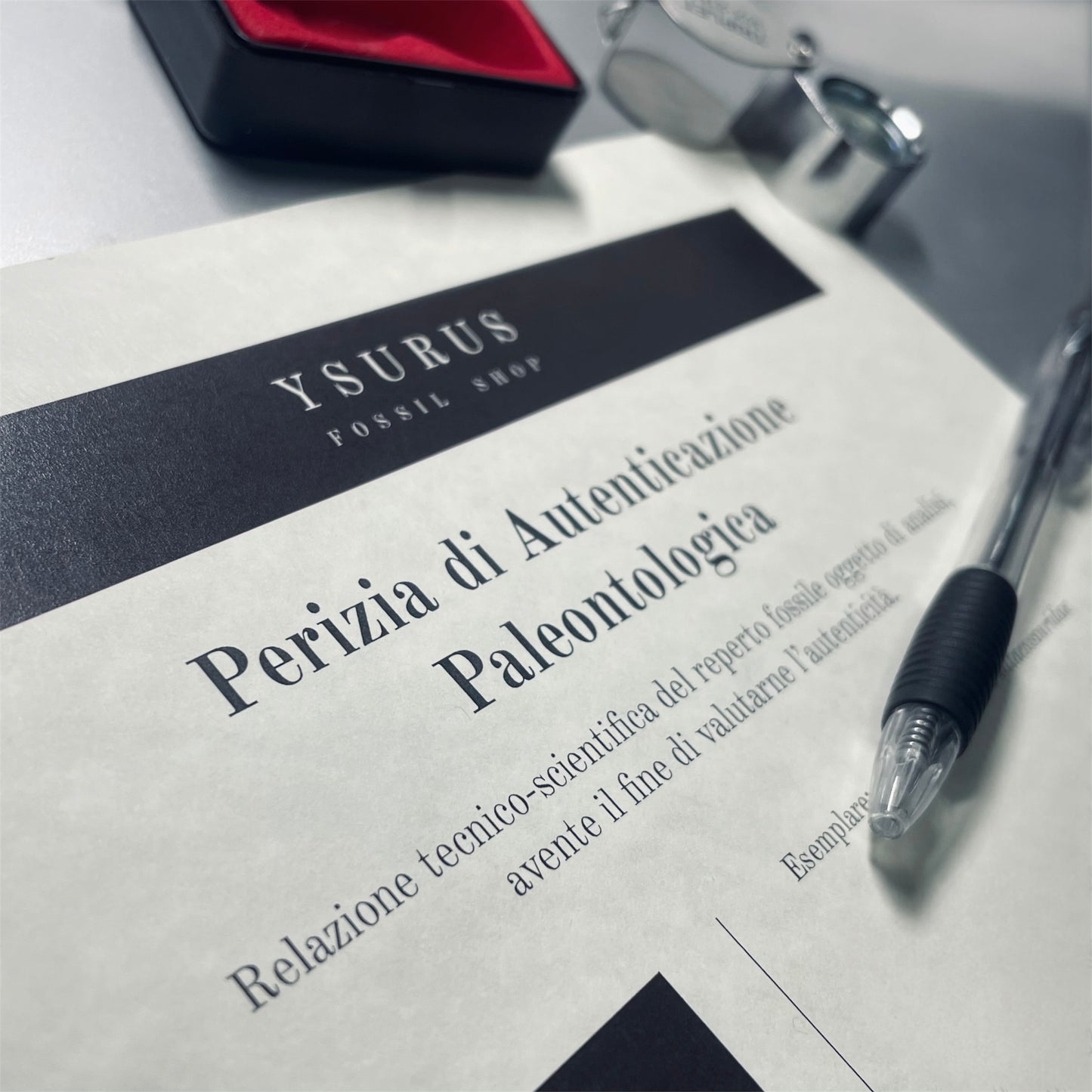 F2145 | Pesce | Priscacara sp. + PERIZIA PALEONTOLOGICA INCLUSA