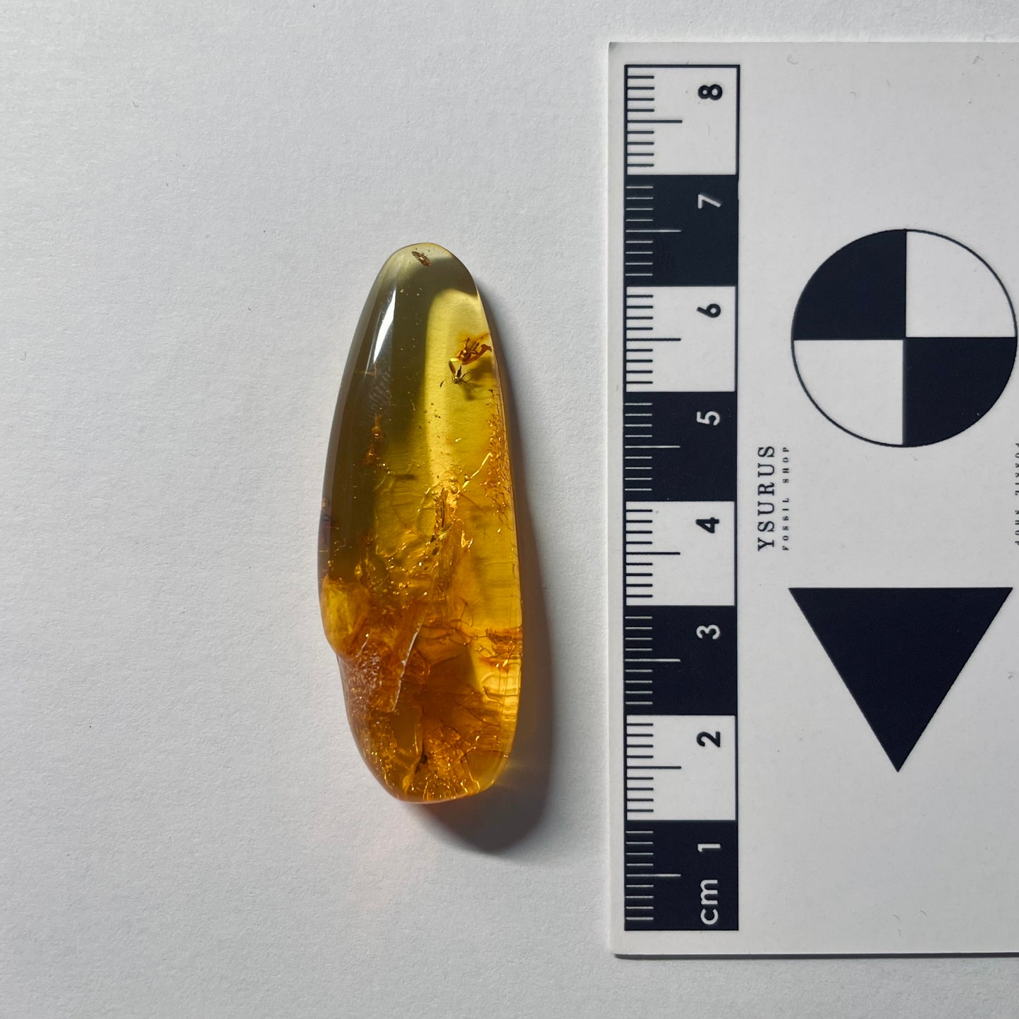 F2087 | Ambra con inclusione | Sciaridae indet. & Araneae indet.