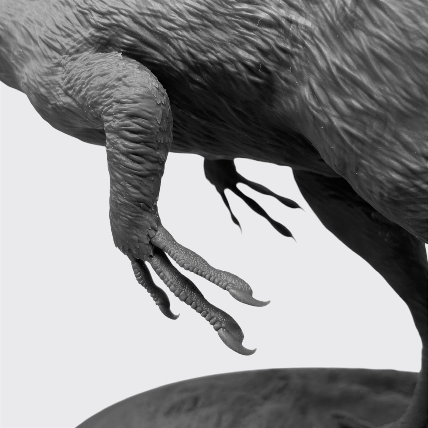 Dinosauri d'Italia - 01 “CIRO” | Modellino di Scipionyx samniticus 1:1 (non dipinto)