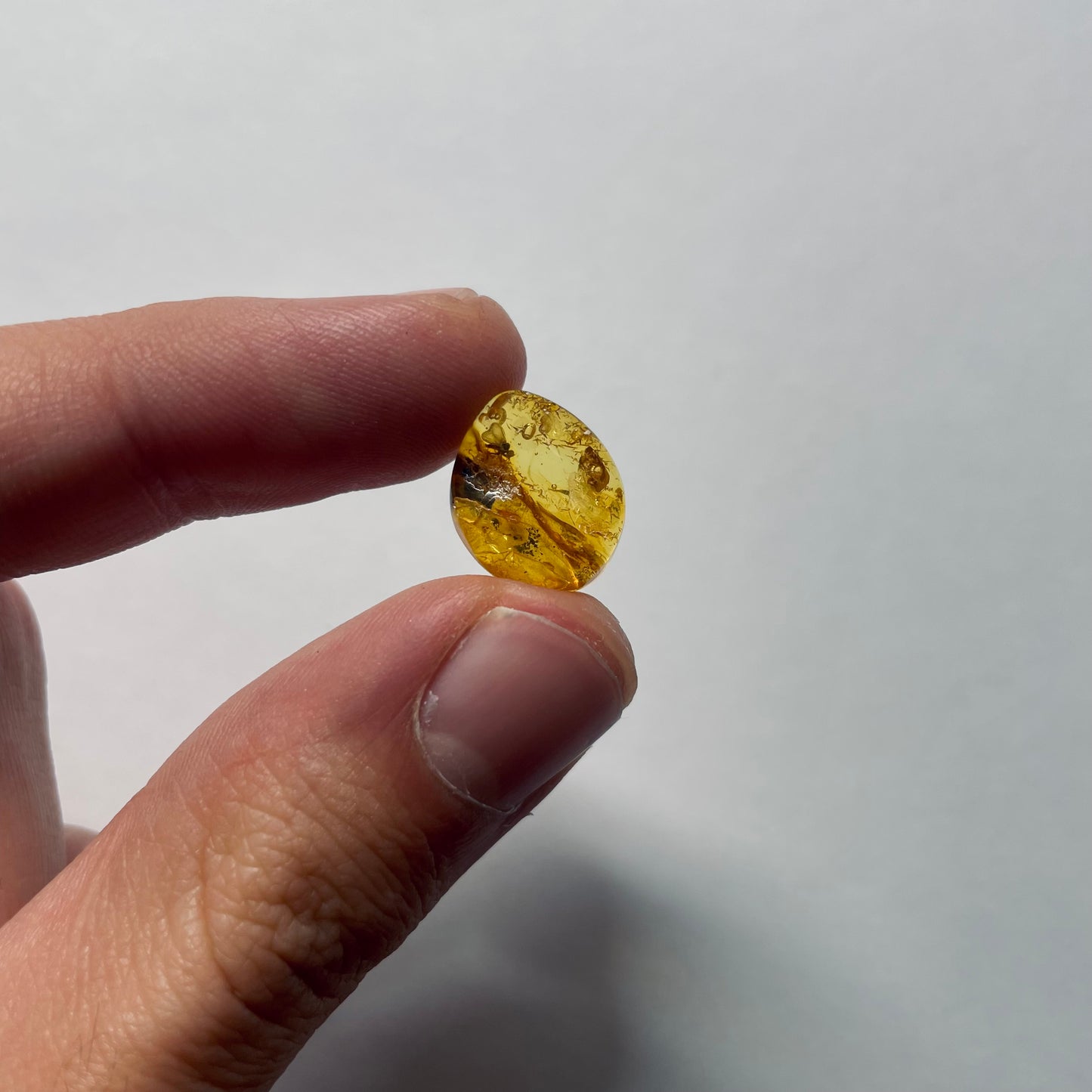 F2079 | Ambra con inclusione | Hybotidae indet.