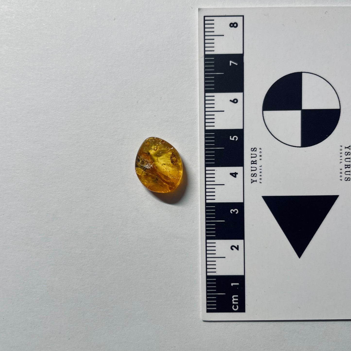 F2079 | Ambra con inclusione | Hybotidae indet.