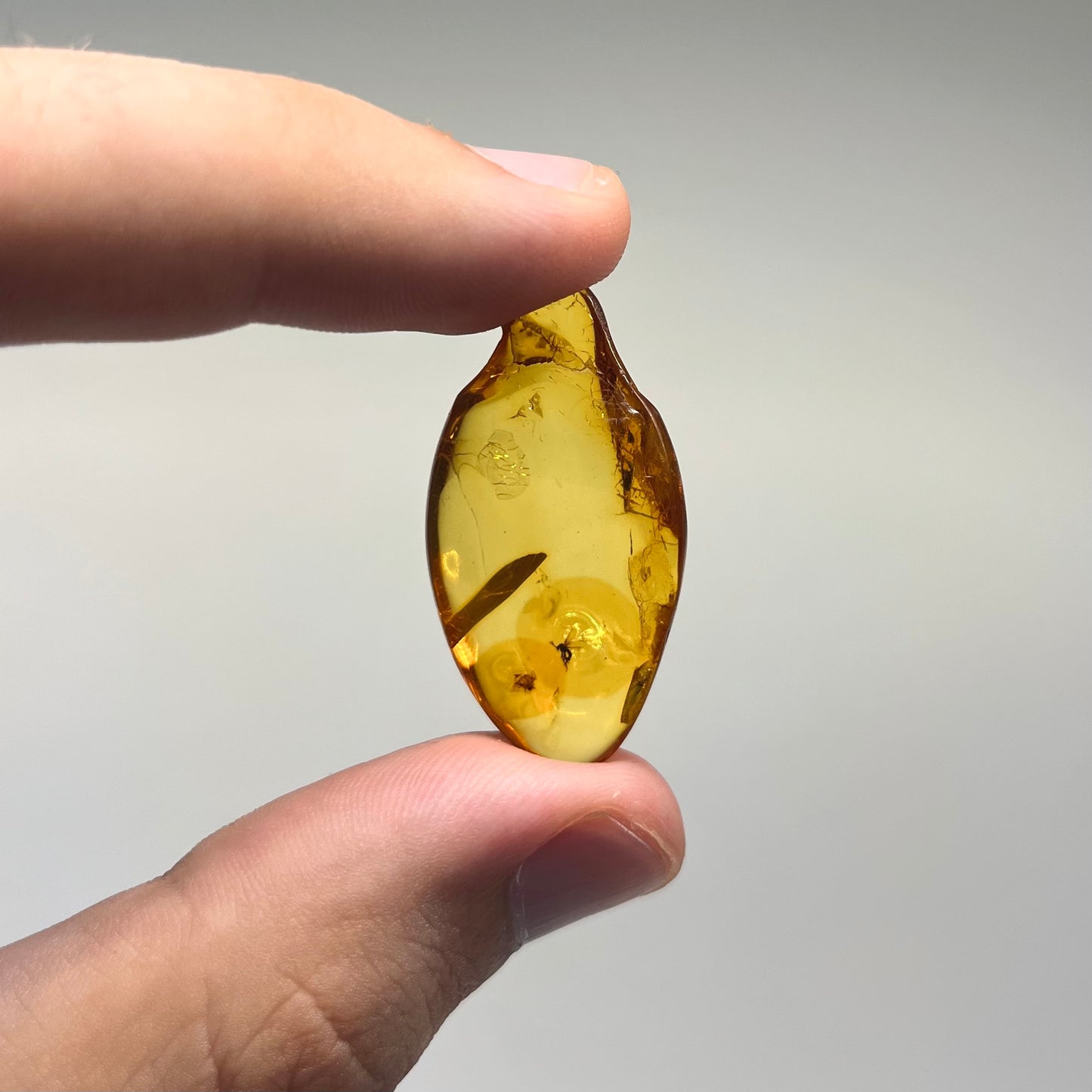 F2840 | Ambra con inclusione | Ceratopogonidae indet.