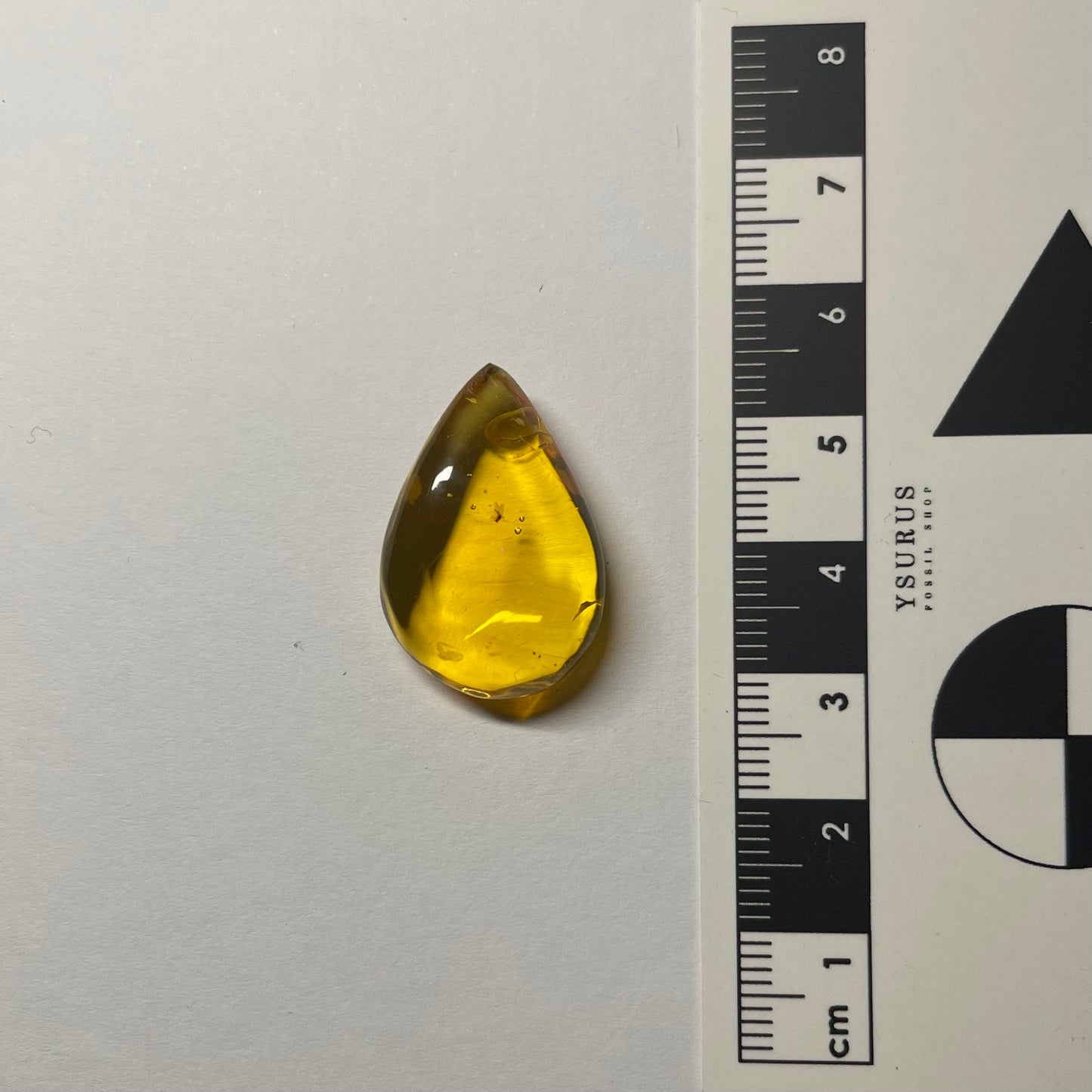 F2426 | Ambra con inclusione | Chironomidae indet.