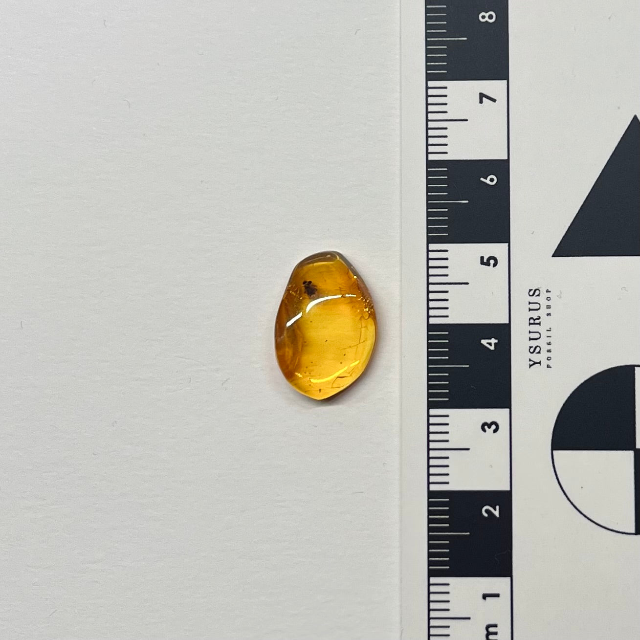 F2844 | Ambra con inclusione | Phoridae indet.