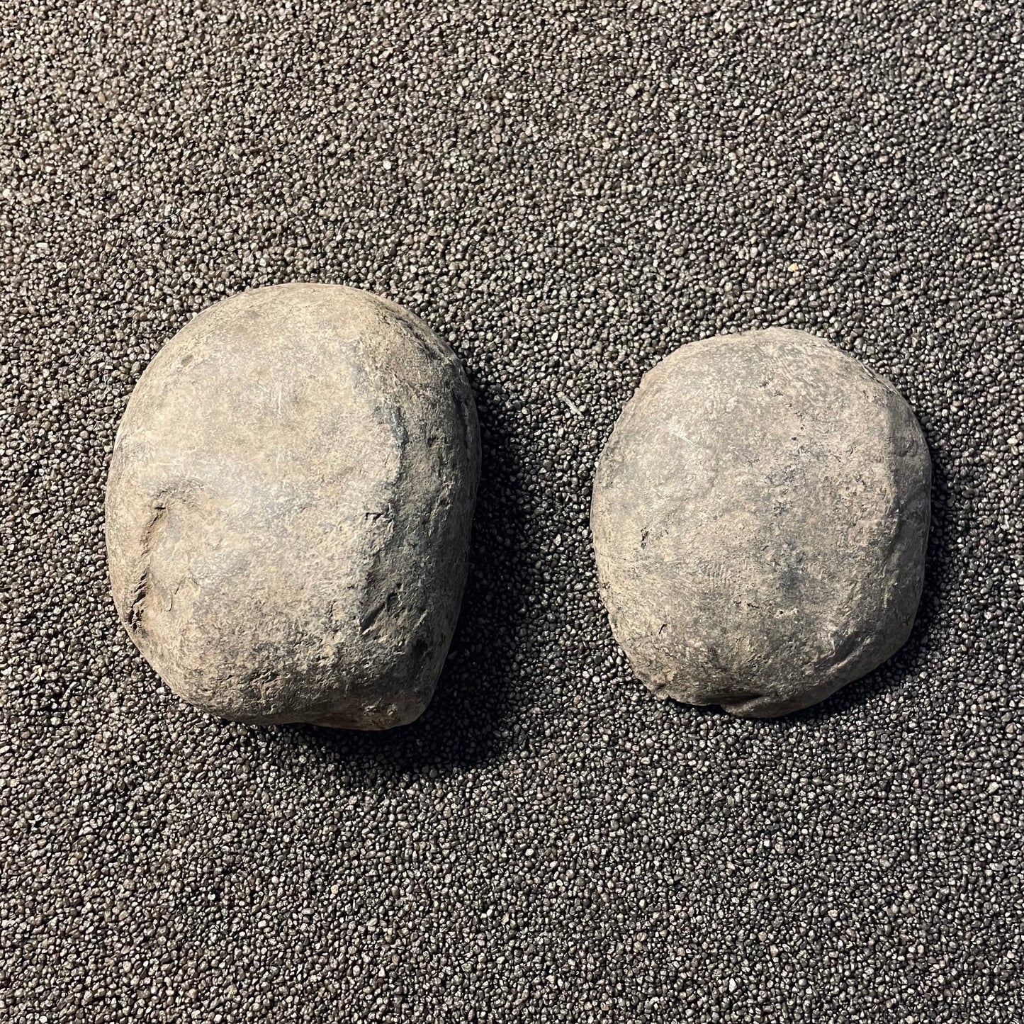 F2379 | Ammonite | Perisphinctidae indet.