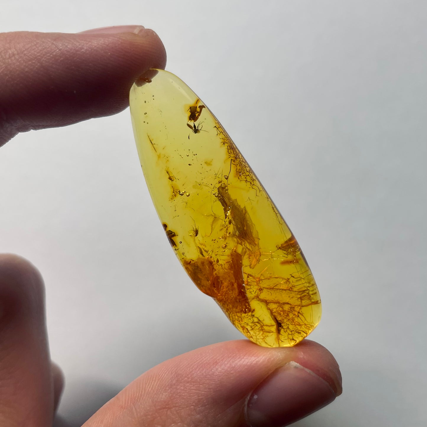 F2087 | Ambra con inclusione | Sciaridae indet. & Araneae indet.