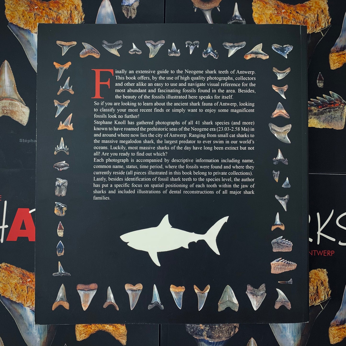 LP4 | Libro | Neogene Sharks of Antwerp