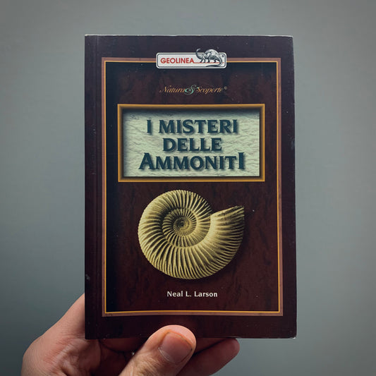 LP3 | Libro | I Misteri delle Ammoniti
